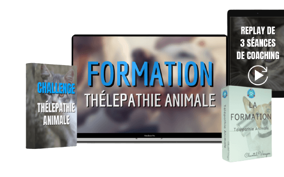 Formation complete en telepathie animale