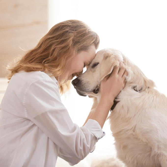 Conclusion Vers une meilleure harmonie avec nos compagnons canins