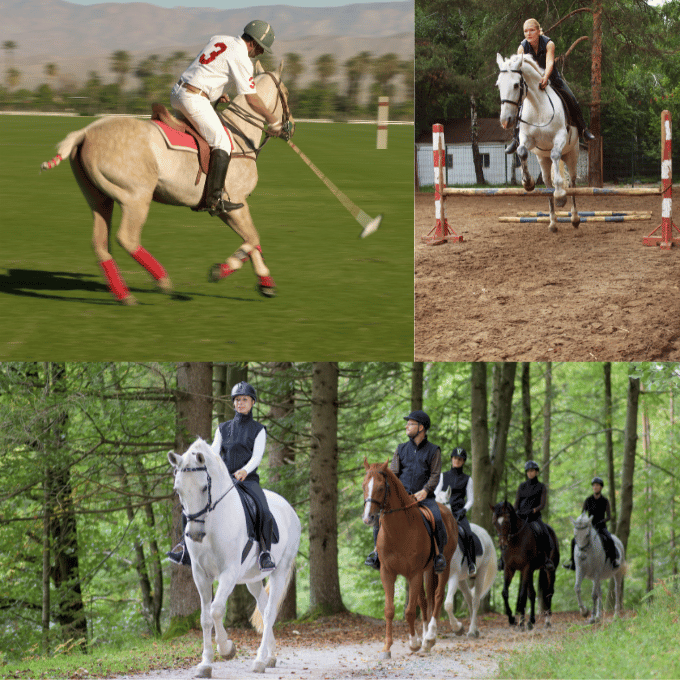 Autres Styles dEquitation Saut Polo et Randonnee