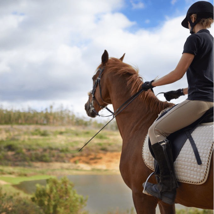 Conclusion Se Lancer dans lAventure Equestre