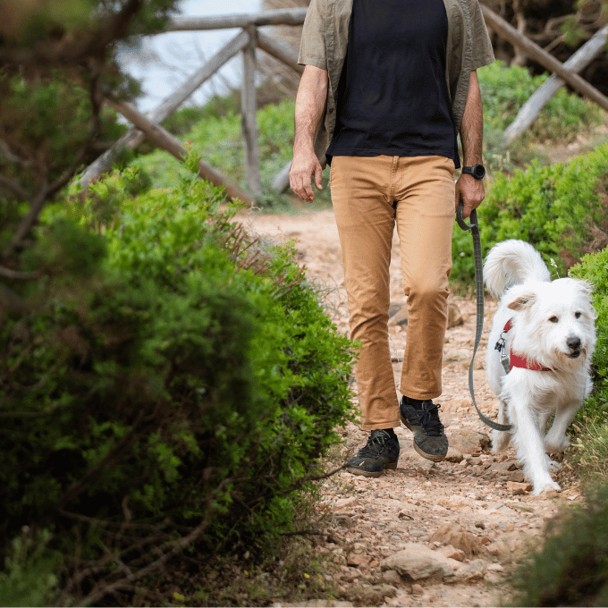 un homme se promenant avec son chien sur un sentier